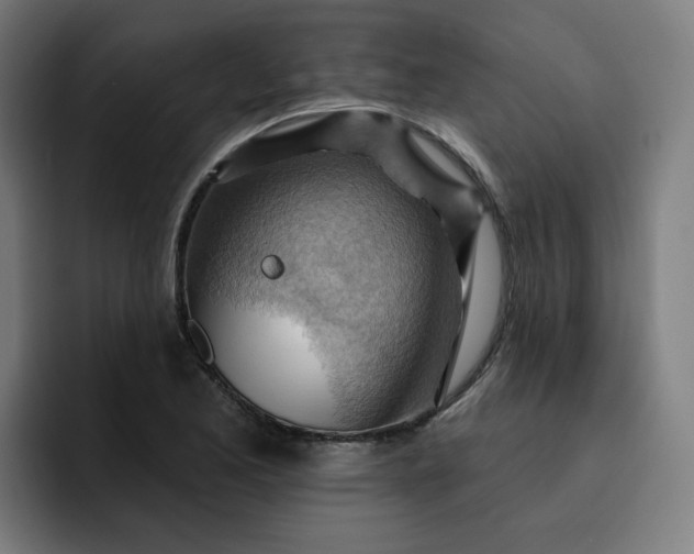 X0000093261173200710101453