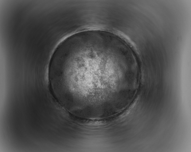 X0000093261174200710101453