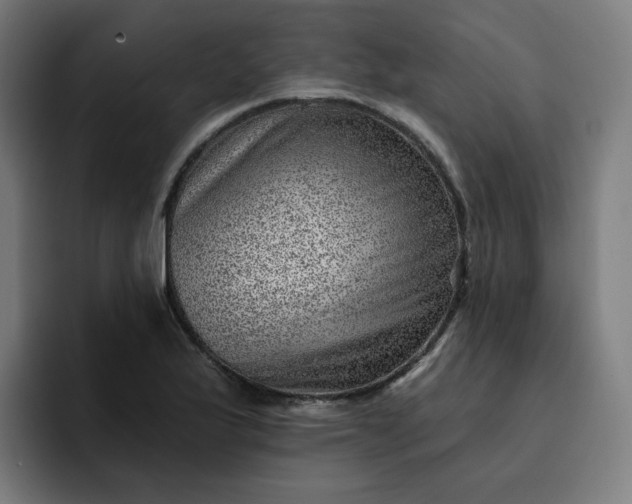 X0000093261175200710101453