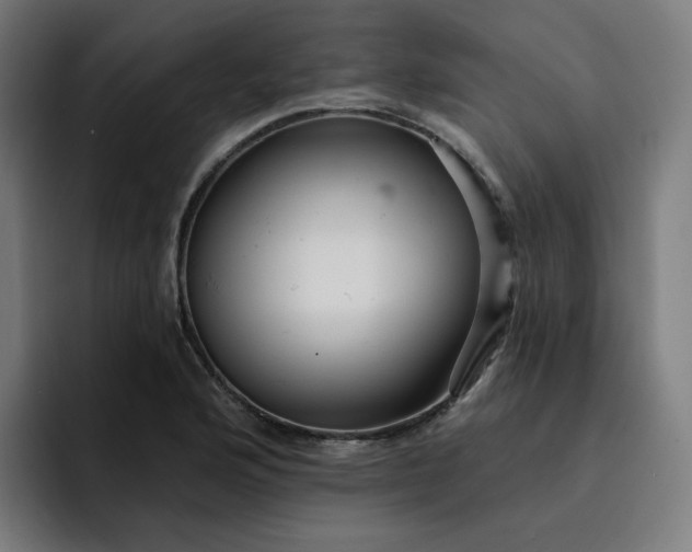 X0000093261176200710101453