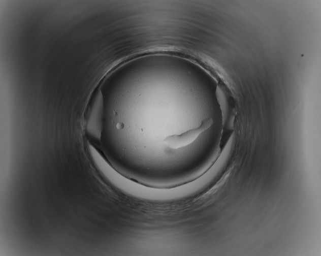 X0000093261177200710101453