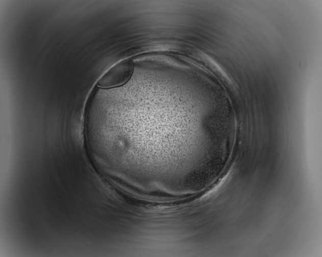 X0000093261178200710101453