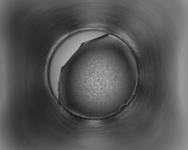 X0000093261180200710101453