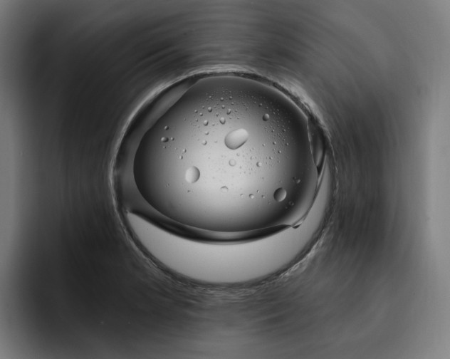 X0000093261181200710101453