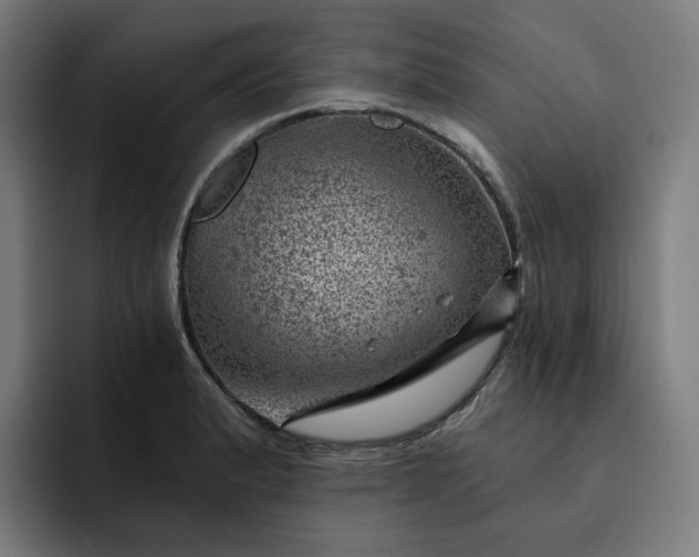 X0000093261183200710101453