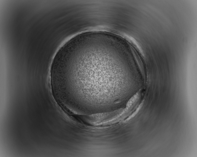 X0000093261184200710101453