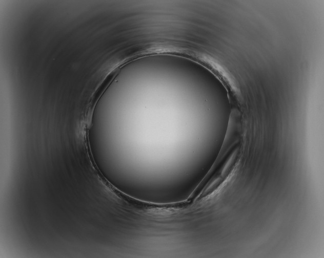 X0000093261185200710101453