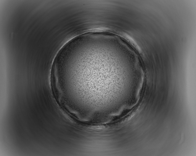 X0000093261186200710101453