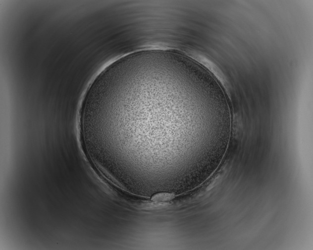 X0000093261187200710101453