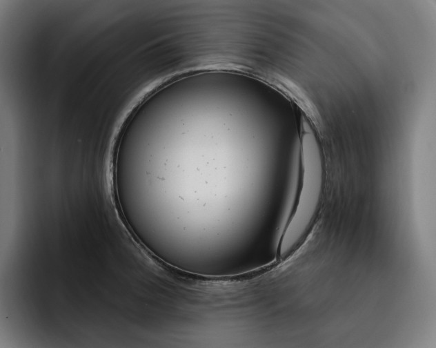 X0000093261188200710101453