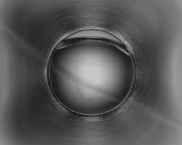 X0000093261189200710101453