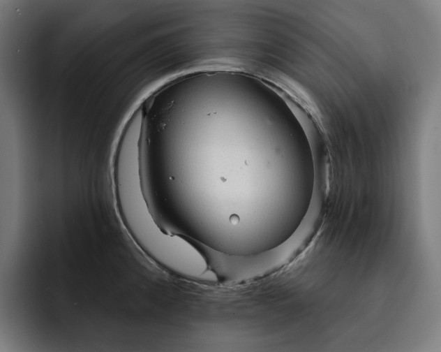 X0000093261192200710101453