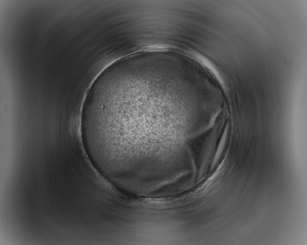 X0000093261194200710101453