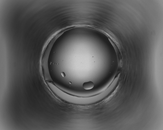 X0000093261196200710101453