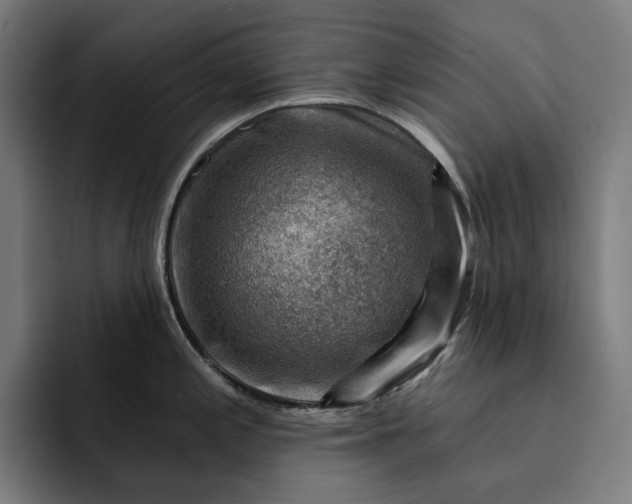 X0000093261197200710101453