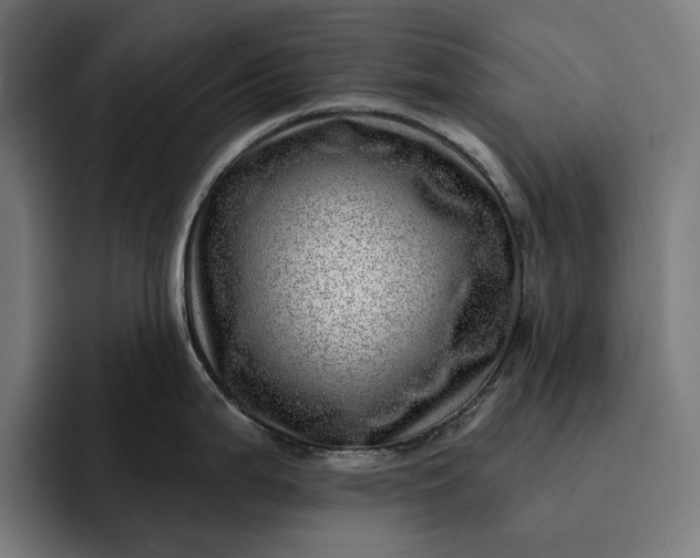 X0000093261199200710101453