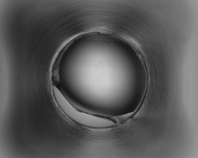 X0000093261200200710101453