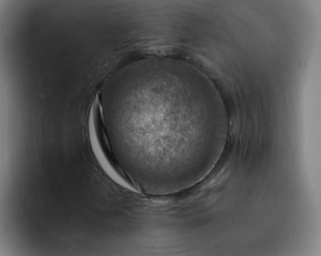 X0000093261202200710101453