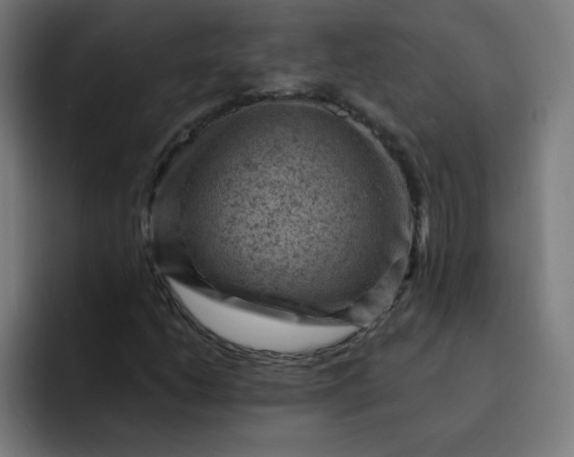 X0000093261206200710101453