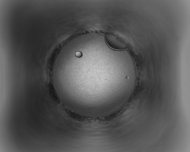 X0000093261207200710101453