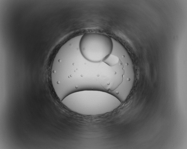 X0000093261208200710101453