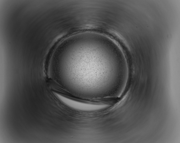 X0000093261210200710101453