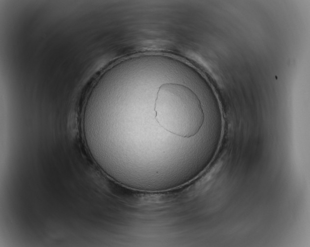 X0000093261211200710101453