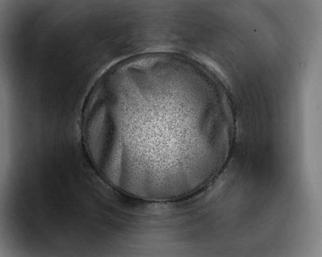 X0000093261212200710101453