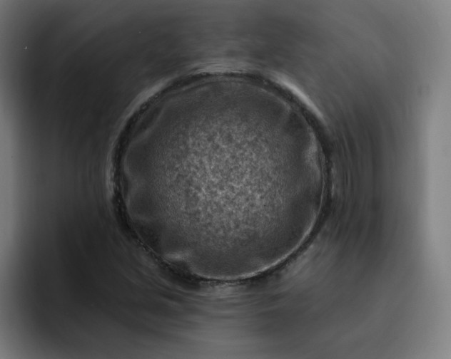 X0000093261213200710101453