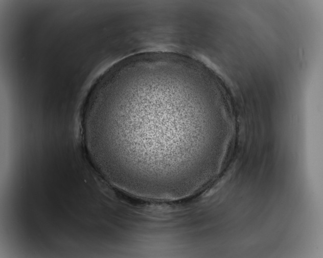 X0000093261215200710101453