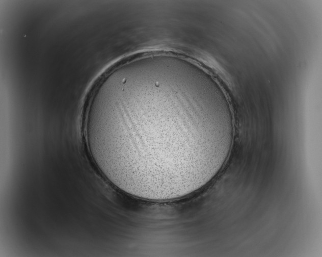 X0000093261216200710101453