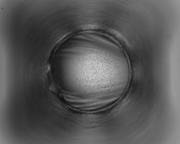 X0000093261217200710101453