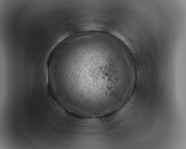 X0000093261219200710101453