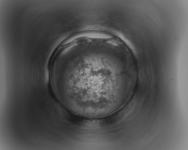 X0000093261221200710101453