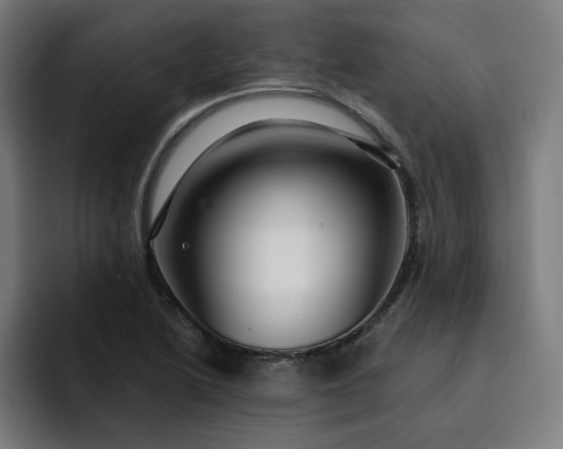 X0000093261222200710101453