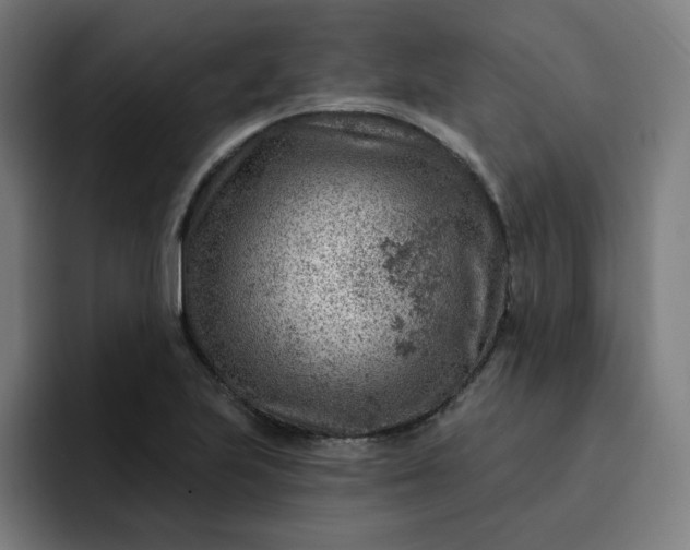 X0000093261223200710101453