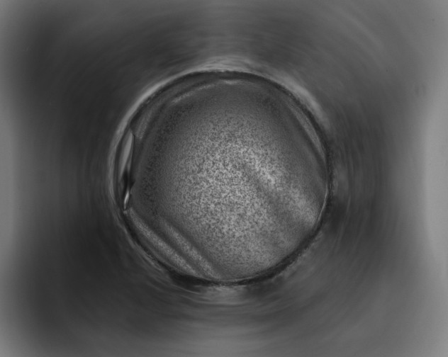 X0000093261224200710101453