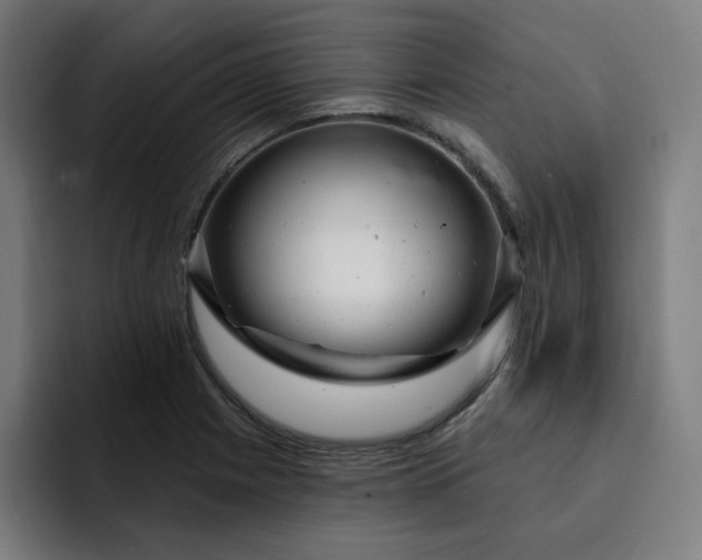 X0000093261225200710101453