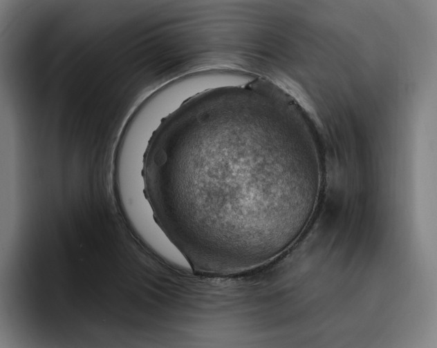 X0000093261226200710101453