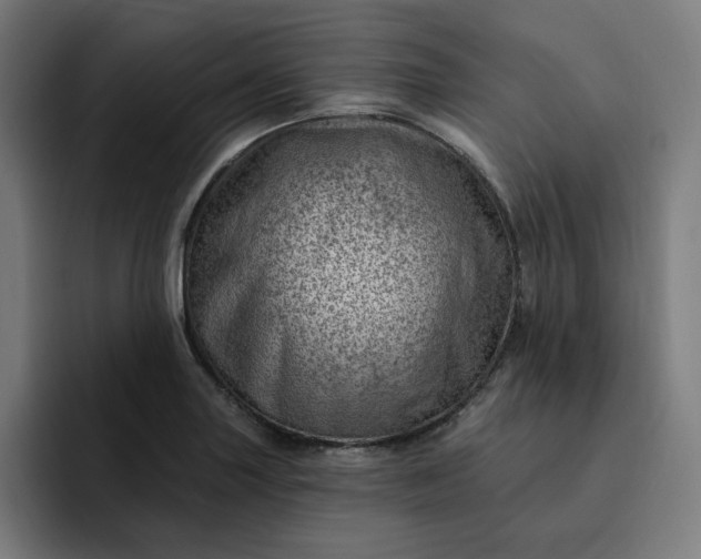 X0000093261227200710101453