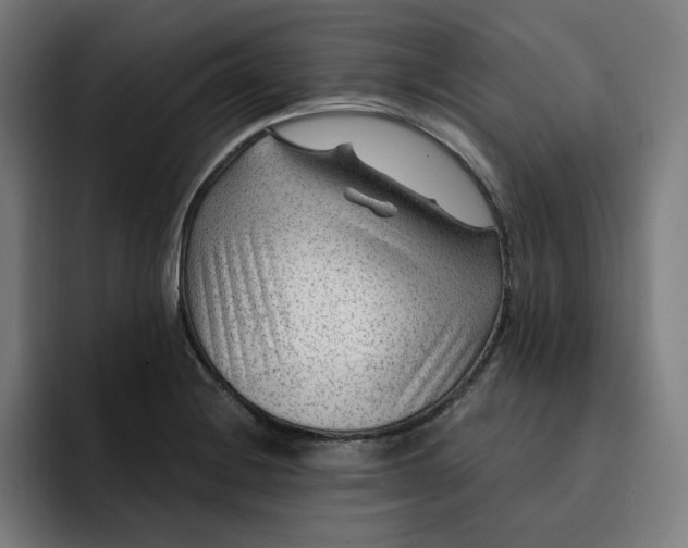 X0000093261228200710101453