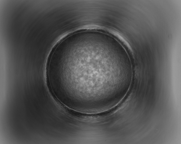 X0000093261229200710101453