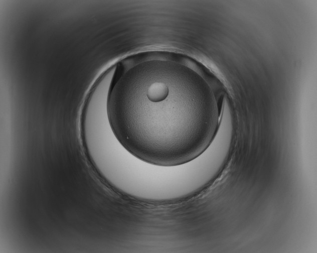 X0000093261230200710101453