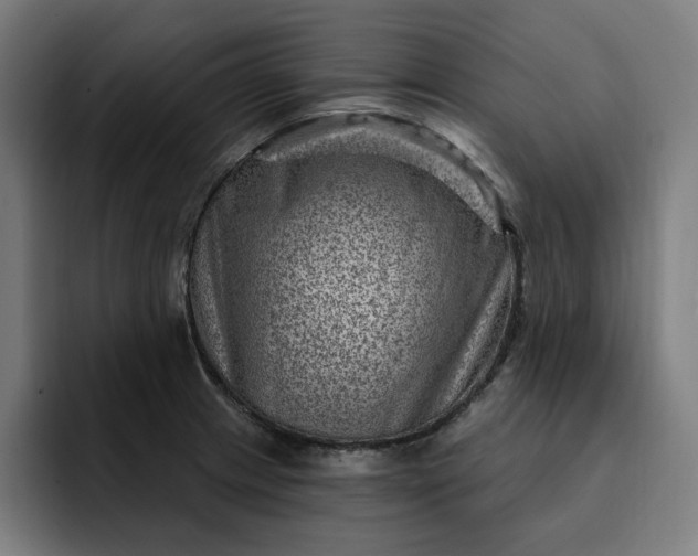 X0000093261233200710101453