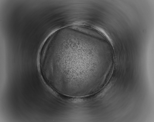 X0000093261235200710101453