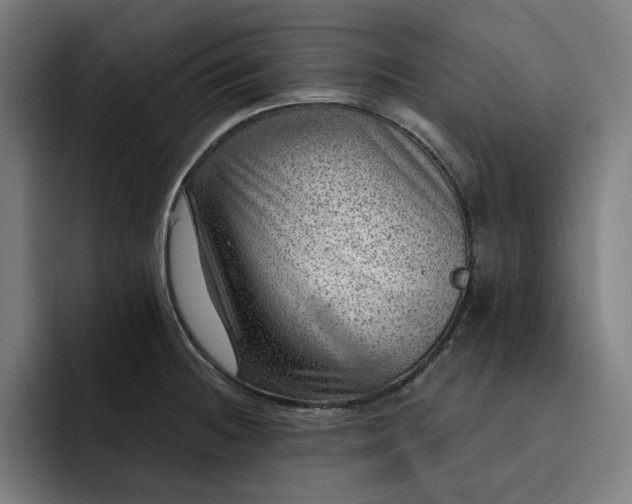 X0000093261236200710101453