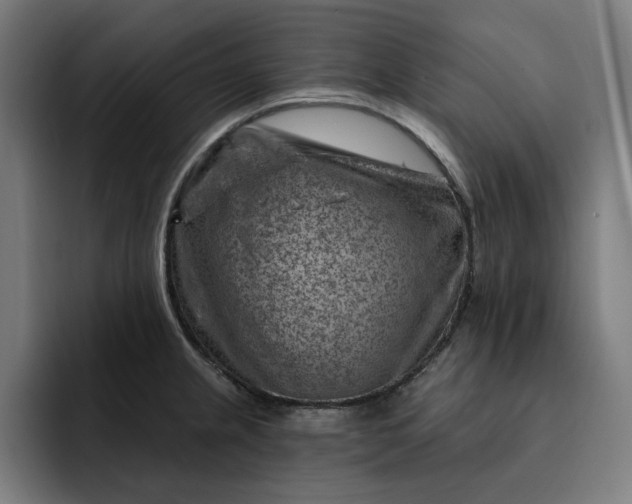 X0000093261237200710101453