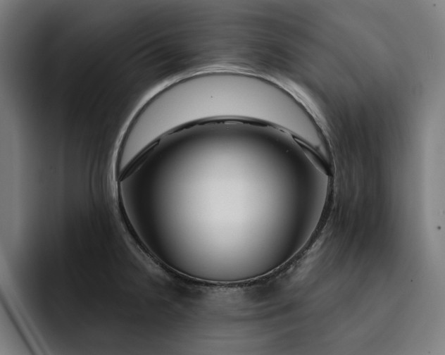 X0000093261238200710101453