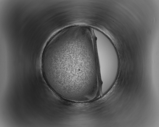 X0000093261240200710101453