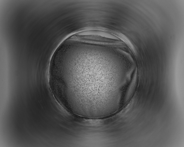 X0000093261244200710101453